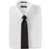 Men's Necktie, alternative image