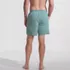 Men's 7 Inch Volley Hydroliner Swim Trunks, Back