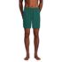 Men's 7 Inch Reversible Swim Shorts, alternative image
