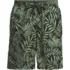 Men's 9" Volley Hydroliner Swim Trunks, Front