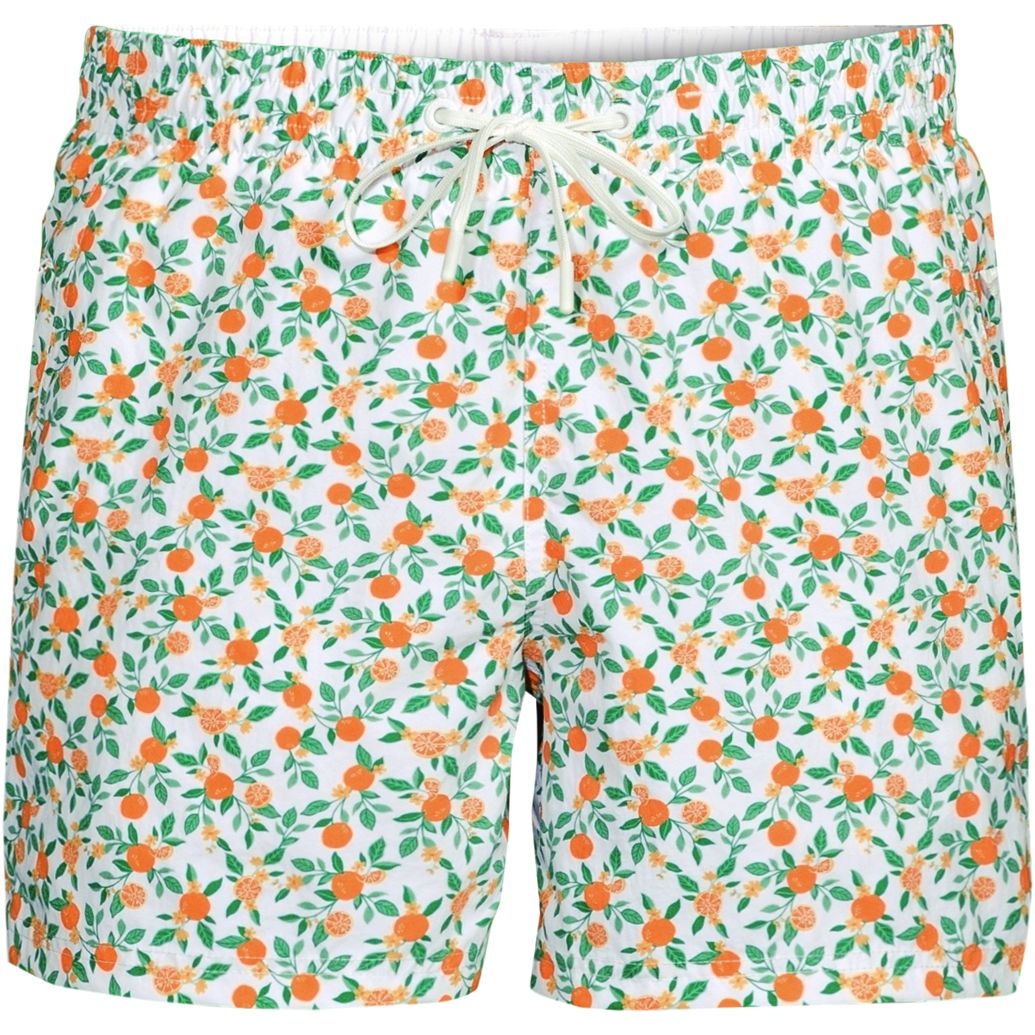 Men's 5 Inch Volley Swim Trunk