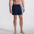 Men's 5 Inch Volley Swim Trunk, Front