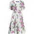 Women's Puff Sleeve Pleated Linen Knee Length Dress, Front
