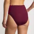 Women's Seamed High Waisted Bikini Bottoms, Back