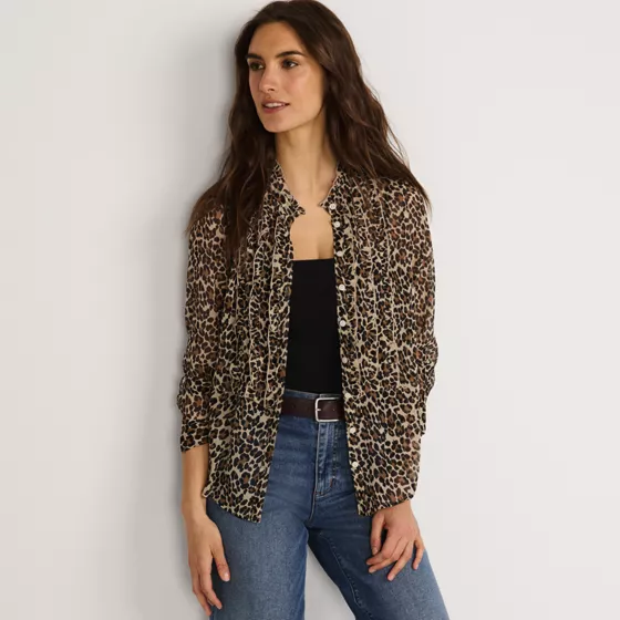 Women's Chiffon Ruffle Front Long Sleeve Top - primary