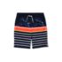 Boys Stretch Hydroliner Sport Swim Trunks, alternative image