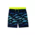 Boys Active Stretch Swim Trunks, alternative image