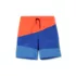 Boys Color Block Hydroliner Swim Trunks, alternative image