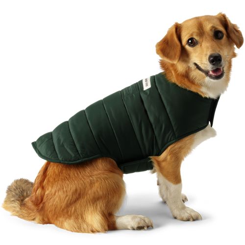 Dog Expedition Winter Jacket