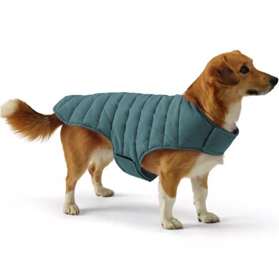 Dog Coat Wanderweight Jacket - primary
