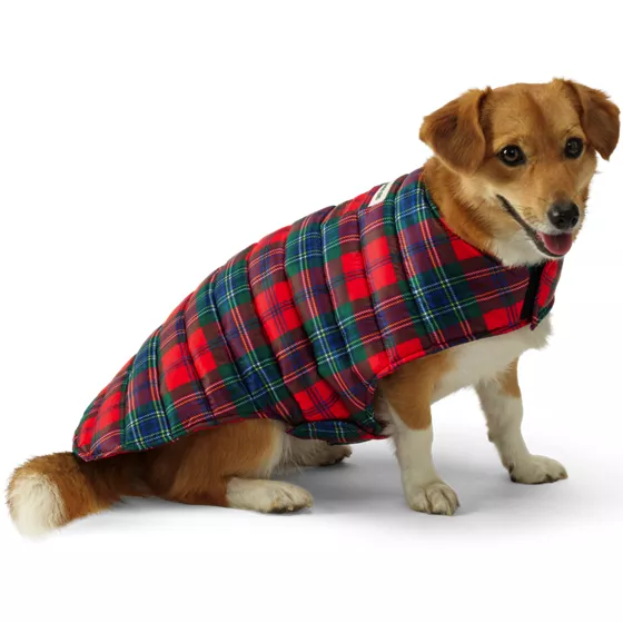 Dog Coat Wanderweight Jacket - primary