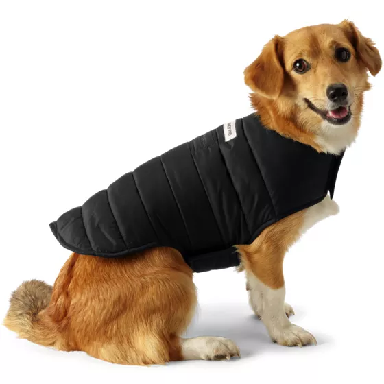 Dog Coat Wanderweight Jacket - primary
