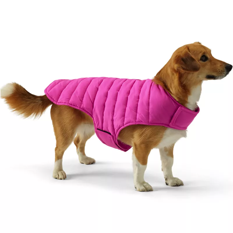 Dog Coat Wanderweight Jacket, alternative image
