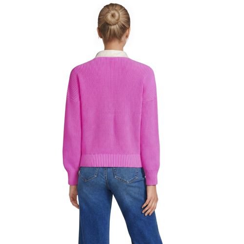 Aster Pink