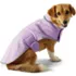 Anyweather Fleece Dog Jacket, Front