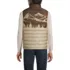 Men's Wanderweight Packable Print Down Vest, Back