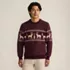 Men's Long Sleeve Holiday Birdseye Crewneck Sweater, Front