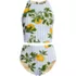 Women's Tugless Portrait Back Set, Front
