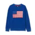 Boys French Terry Crewneck Sweatshirt, alternative image