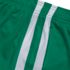 Boys Athletic Mesh Shorts, alternative image