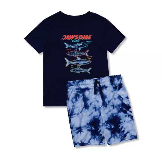 Boys Short Sleeve Tee and Shorts Pajama Set - primary
