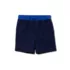Boys Husky Chlorine Resistant 5" Swim Trunks with Mesh Liner, alternative image