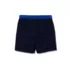 Boys Husky Chlorine Resistant 5" Swim Trunks with Mesh Liner, alternative image