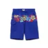 Boys Chlorine Resistant Stretch Print Blocked Hydroliner Board Swim Trunks, alternative image