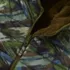 Boys FeatherFree Reversible Hooded Jacket, alternative image