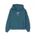 Girls Fleece Pullover Hoodie, alternative image