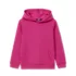 Kids Fleece Pullover Hoodie, alternative image