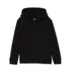 Kids Fleece Pullover Hoodie, alternative image