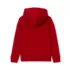 Boys Graphic Hoodie, alternative image