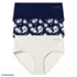 Womens Brief True Solutions Light Weight Microfiber Basic Panties 3 Pack, alternative image
