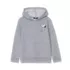Peanuts™ x Lands' End Boys Hoodie, alternative image