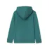 Peanuts™ x Lands' End Boys Hoodie, alternative image