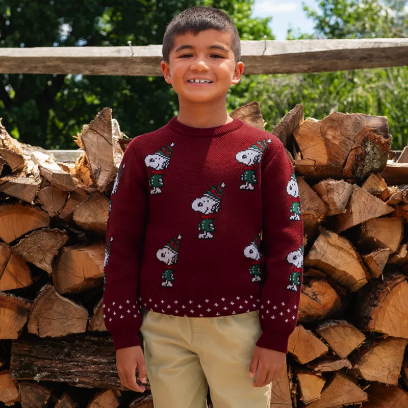Peanuts™ x Lands' End Boys Festive Sweater, alternative image