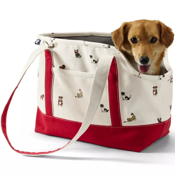 Printed Canvas Dog Tote Carrier - primary