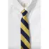 Kids Stripe Pre Tied Tie, Front