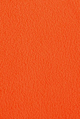 Vivid Orange/Ultimate Gray