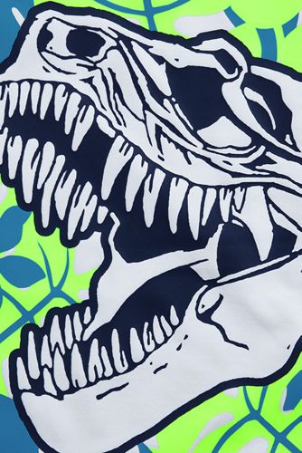 Dino Skull