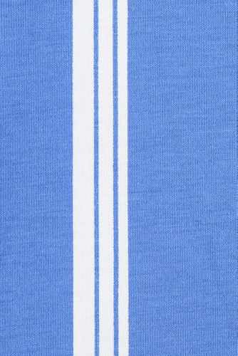 Chicory Blue Founders Stripe